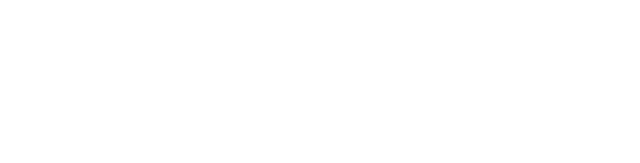 Director Group